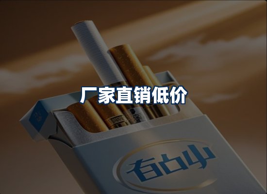 专业团队办公环境